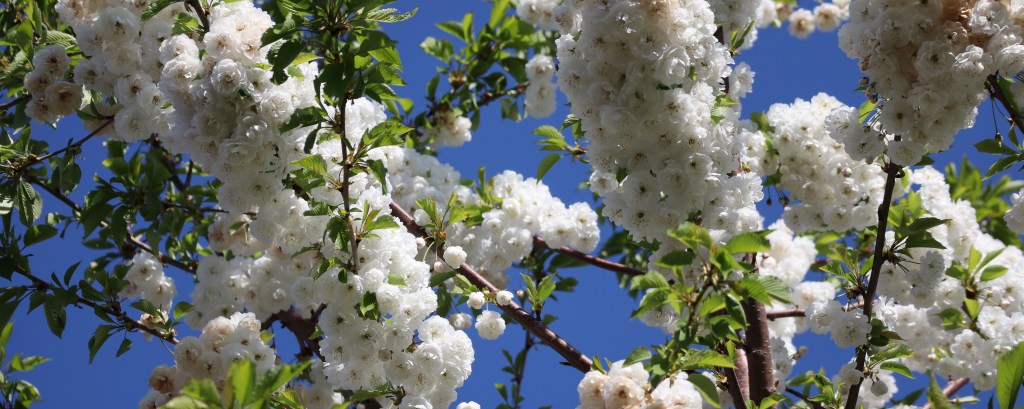 Wellness Wednesday; Getting Some Fresh Air at&nbsp;Home